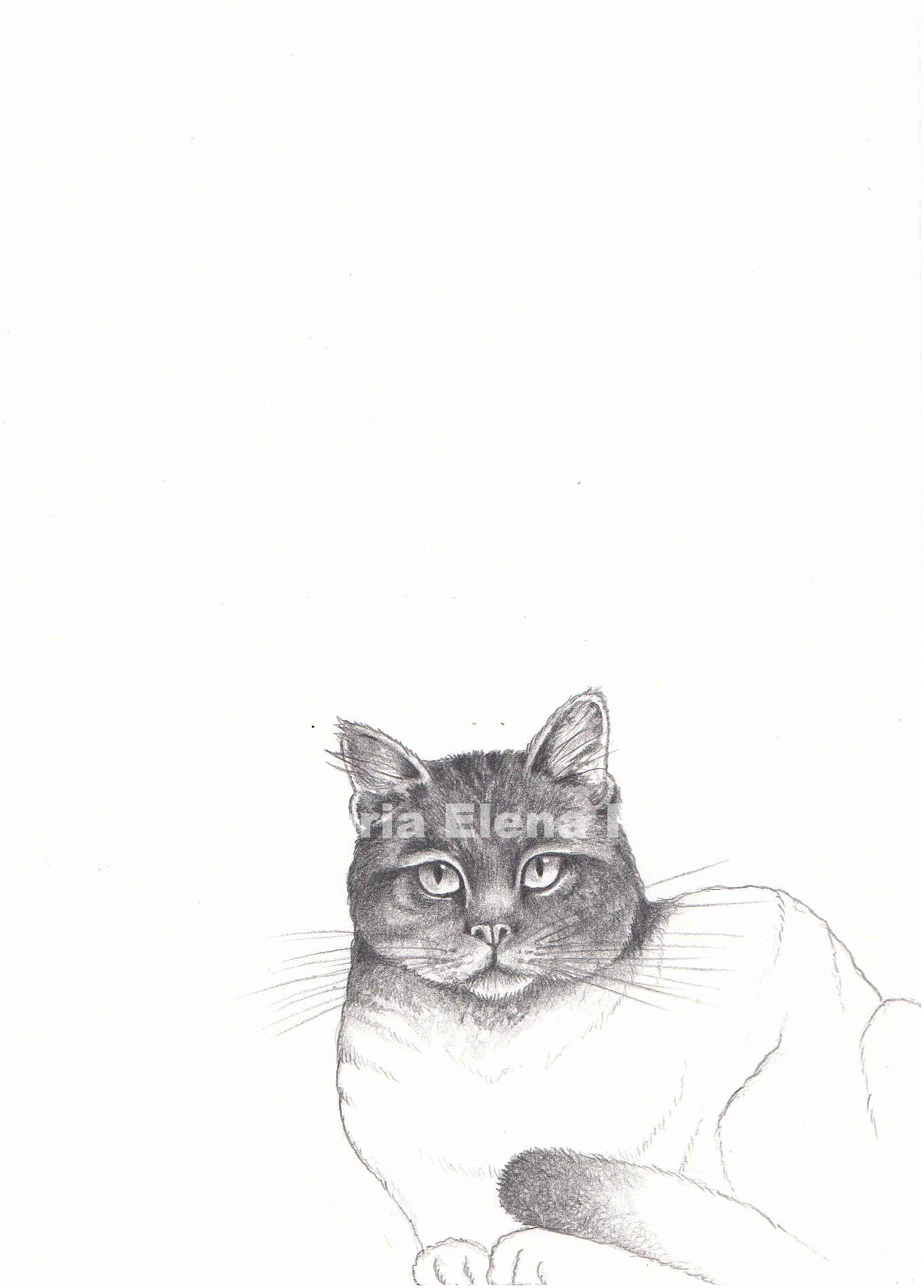 Il